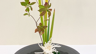 2019年支部花展作品  生徒作品（6）